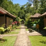 Keunikan Desa Angseri di Bali