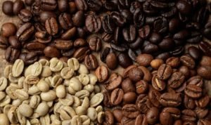 Jenis Kopi di Dunia