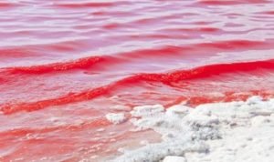 Peristiwa Laut Merah