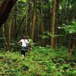 Hutan Terlarang di Dunia