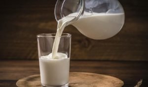 Tipe Susu yang Berkualitas