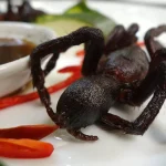 Negara yang Memiliki Makanan Kuliner yang Aneh