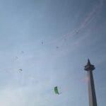 Monas
