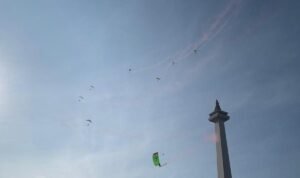 Monas Monas